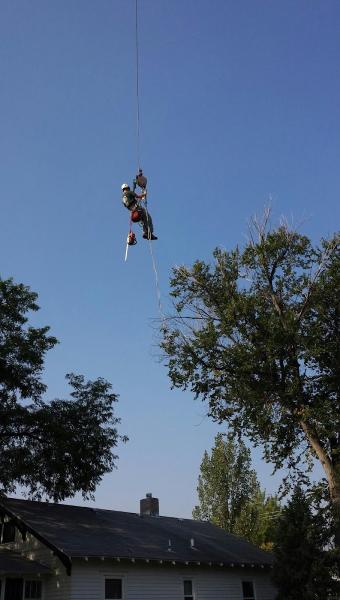 A-1 Natural Arbor Care