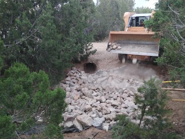 New Mexico Tree & Saw Service