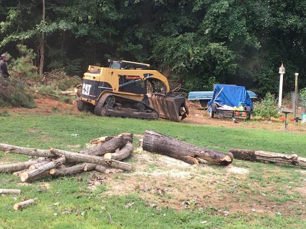 Amazon Tree Service