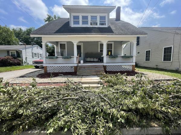 Elite Tree Service