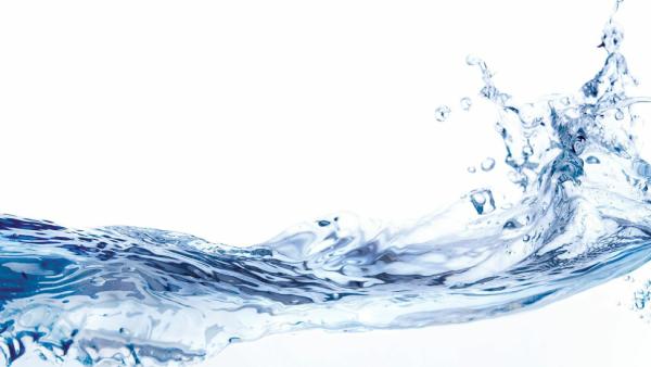 Rice Backflow & Drain Cleaning