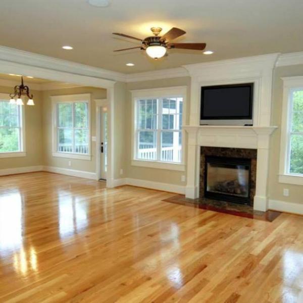 Orange Cat Flooring