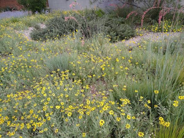 New Mexico Nature By Design LLC
