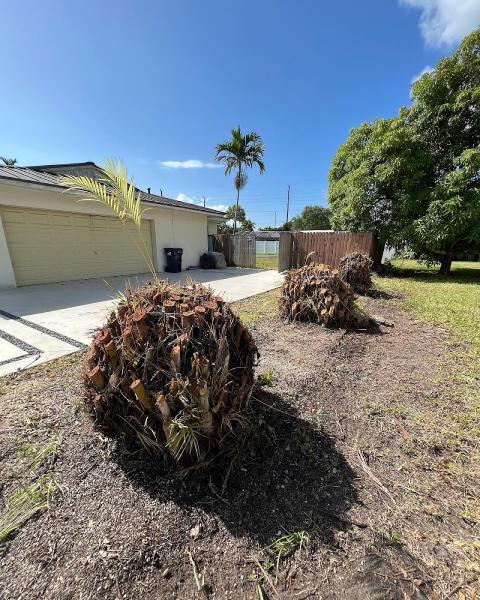 Miami Stump Brothers
