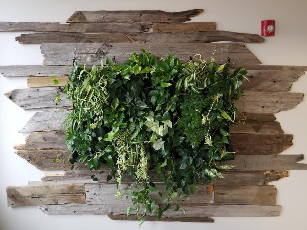 Plant Escape