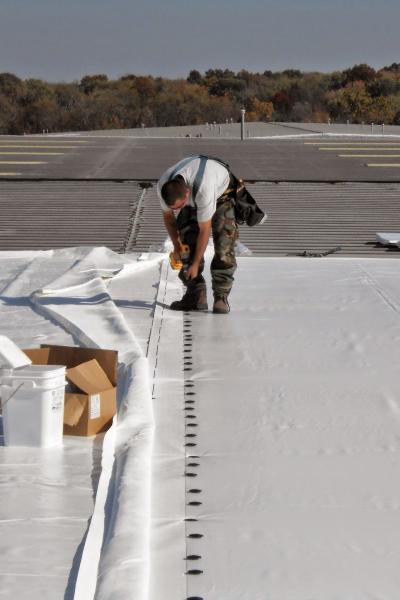 Molloy Roofing