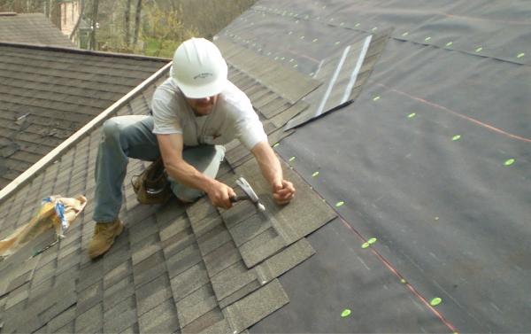 Molloy Roofing