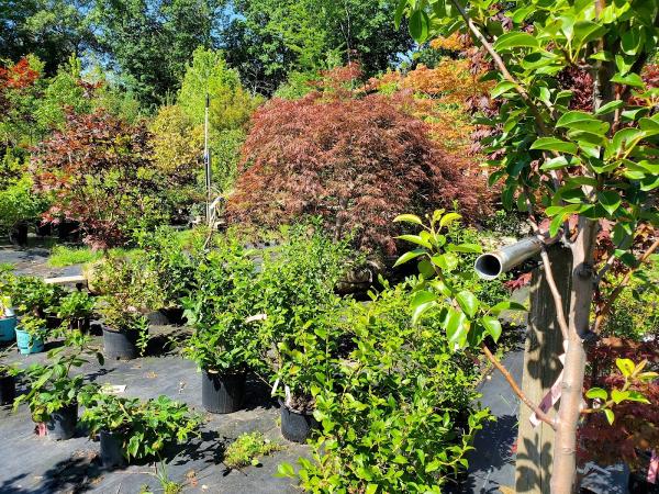 Faulkner Landscaping & Nursery