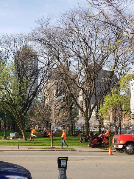 Dependable Tree Service
