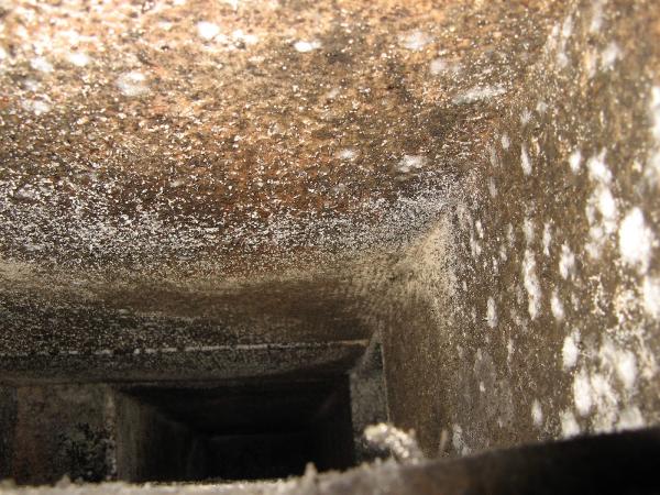 Indoor Environmental Testing