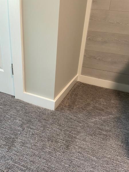Family Carpets