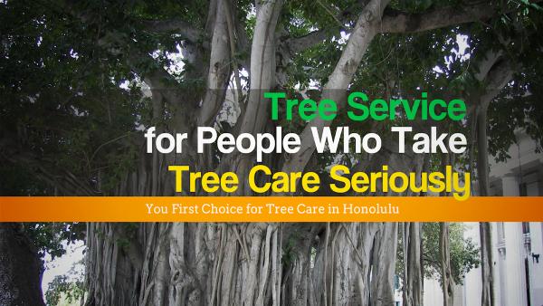 Tropical Tree Services