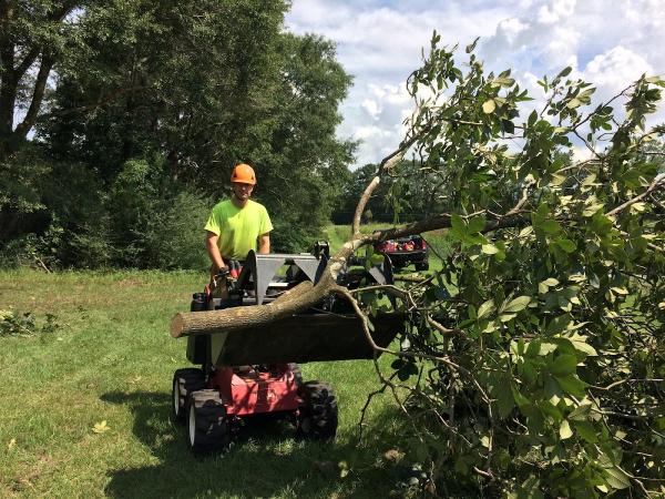 Bigelow's Tree Service and Stump Grinding
