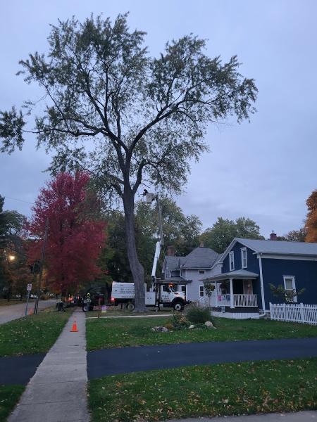 Top To Bottom Tree Service