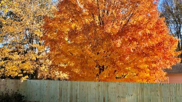 Lancaster Fencing Co.