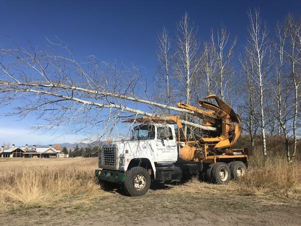 Gallatin Tree Care