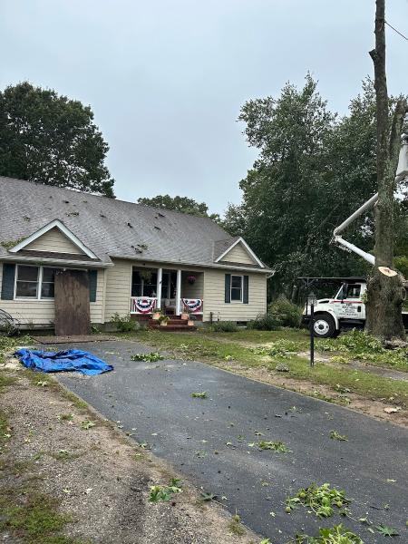 Big Brothers Tree Service