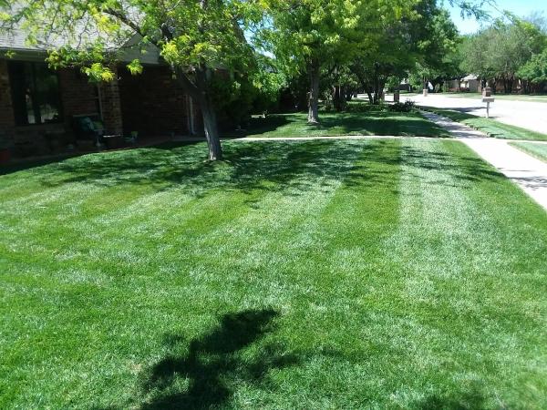 Lawn Boy Services