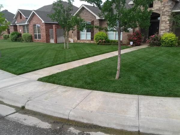 Lawn Boy Services