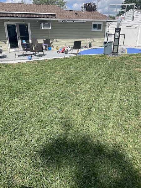 Mow Green Lawn Service