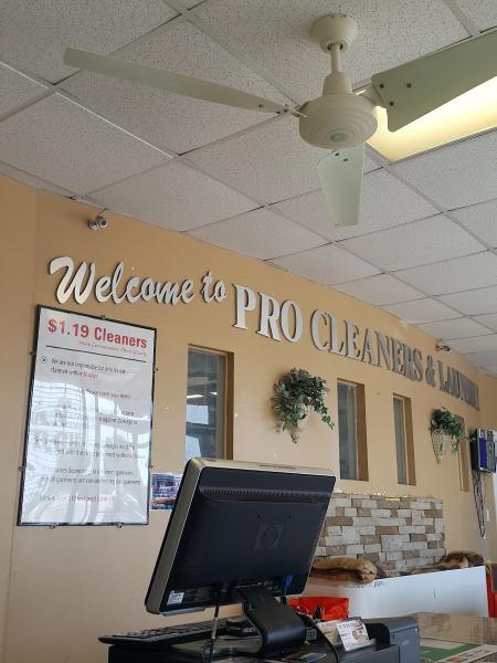 Pro Cleaners