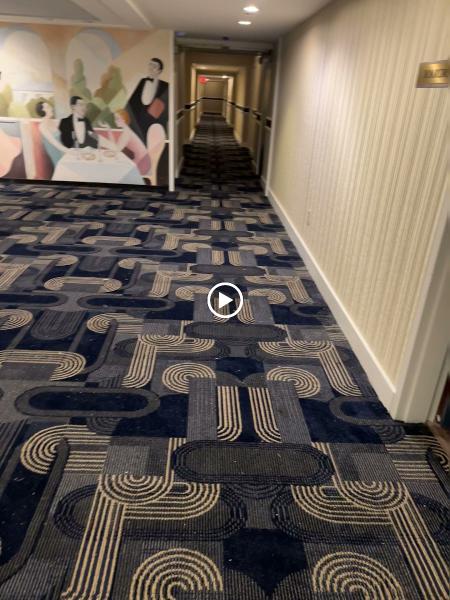 Eli Carpet