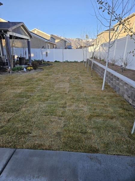 Mr. Martinez & Sons Landscaping