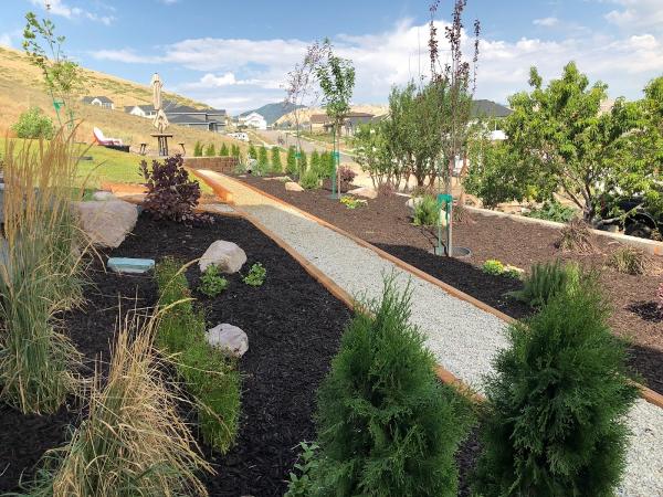 Mr. Martinez & Sons Landscaping
