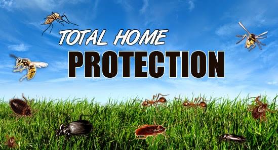 Home Star Lawn and Pest Control