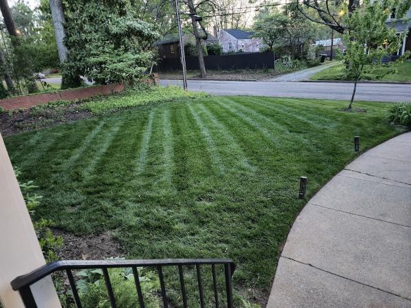 Stepping Stone Landscaping