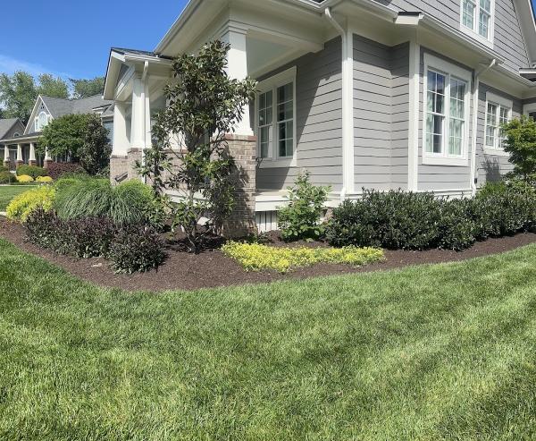 Stepping Stone Landscaping