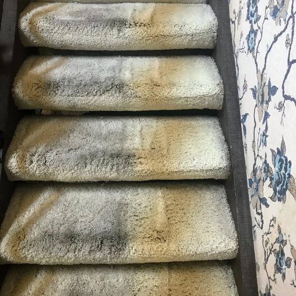 Parr's Deep Cleaning Service