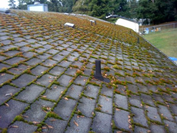 AA Window and Gutter Cleaning