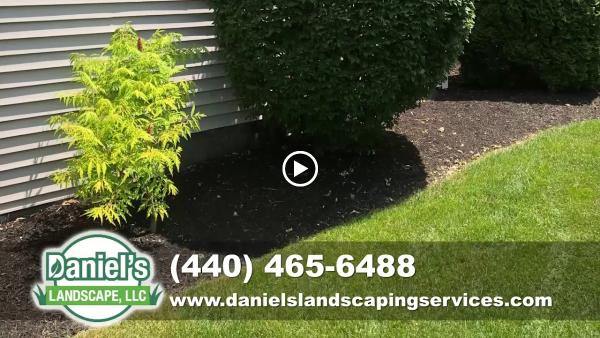 Daniel's Landscape