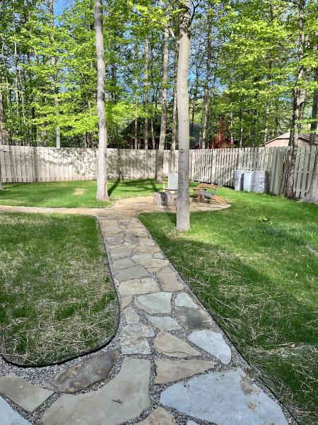 Daniel's Landscape