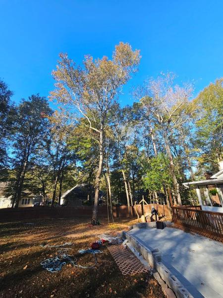 Cantrell's Tree & Land Management