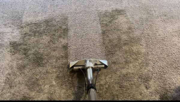 AV Carpet Care LLC