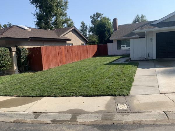 JC Tree Care and Landscape