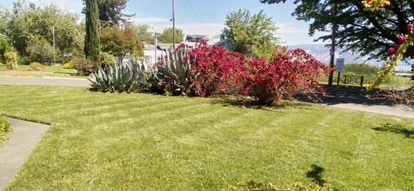 JC Tree Care and Landscape