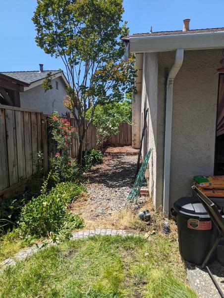 Pacific Coast Tree Service