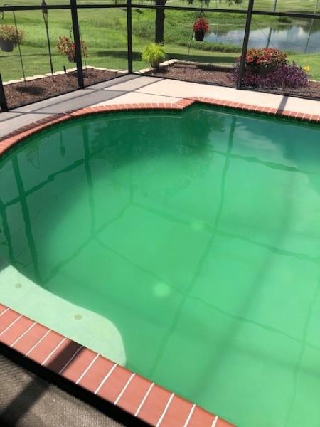 Simply Clean Pool Pros