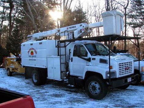 James English Tree Service
