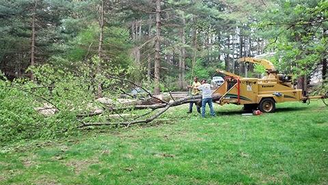 James English Tree Service
