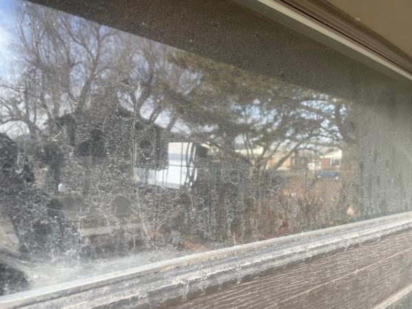 Wizard Window Cleaning Salt Lake City