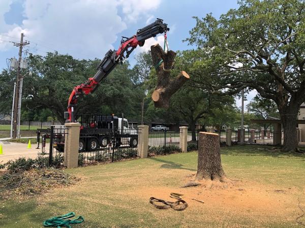 God's Way Tree Service