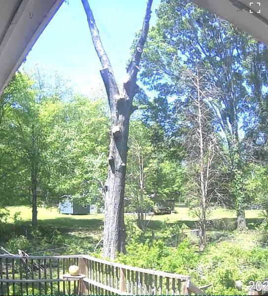 God's Way Tree Service