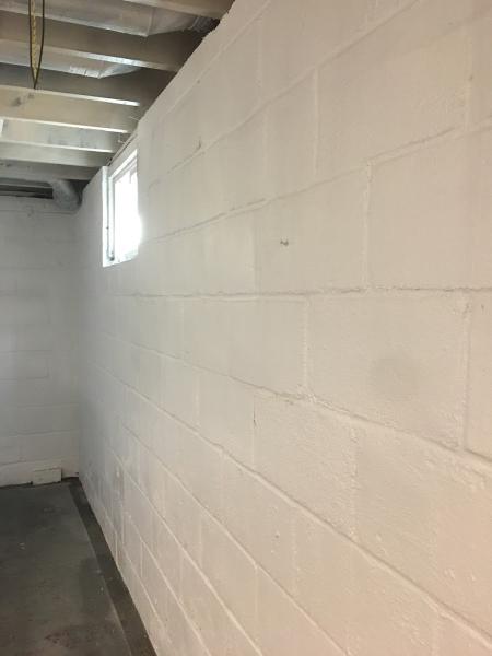 P&M Mold Pro