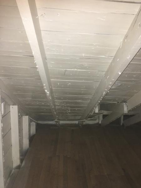 P&M Mold Pro