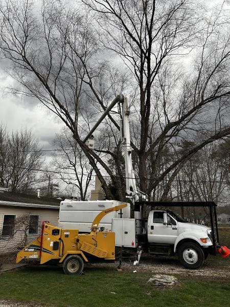 Thompson Tree Care