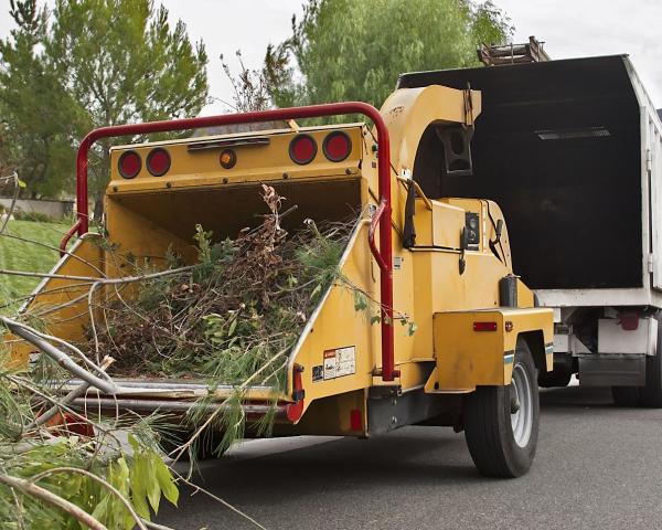 Long Island Tree & Landscape Service